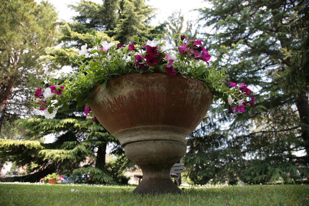 Hotel Bassetto Ferentino Buitenkant foto