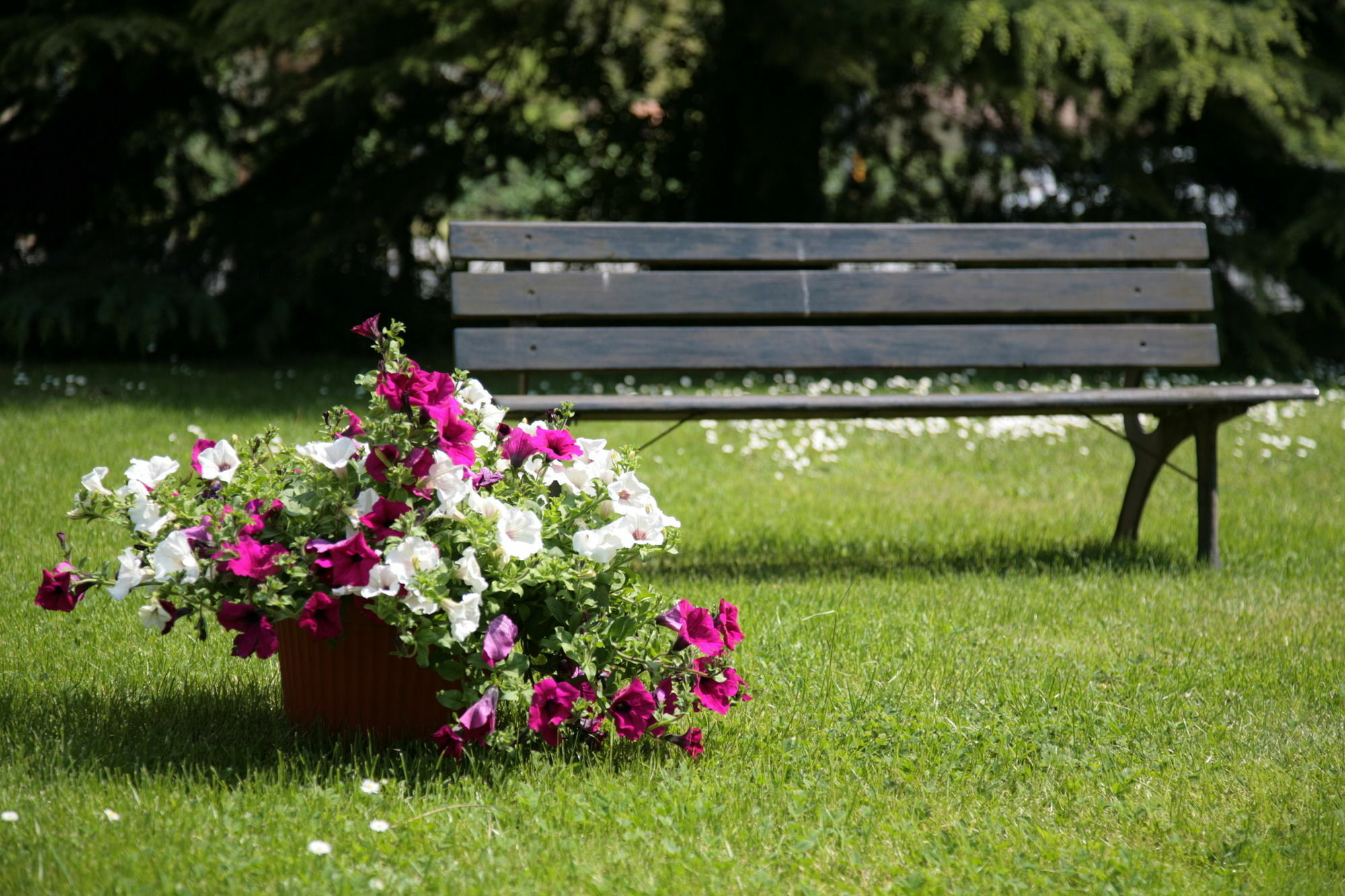 Hotel Bassetto Ferentino Buitenkant foto